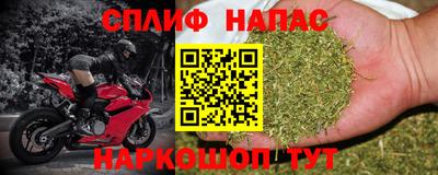 шишки Краснодар