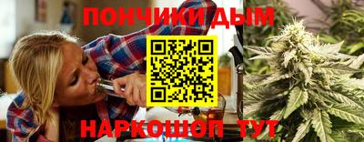 шишки Краснодар